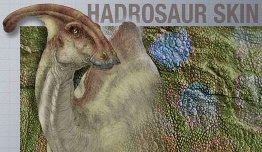 New-Research-Documents-the-Prevalence-of-Hadrosaur-Skin.jpg