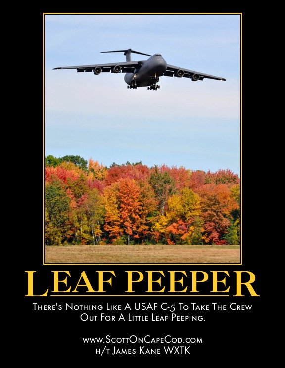 leaf-peeper.jpg