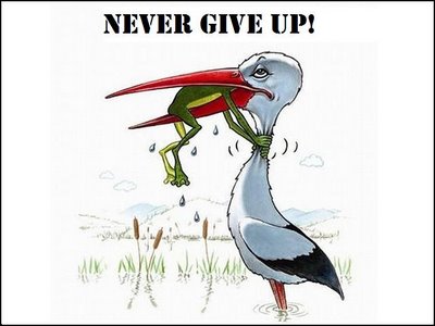 never-give-up1.jpg