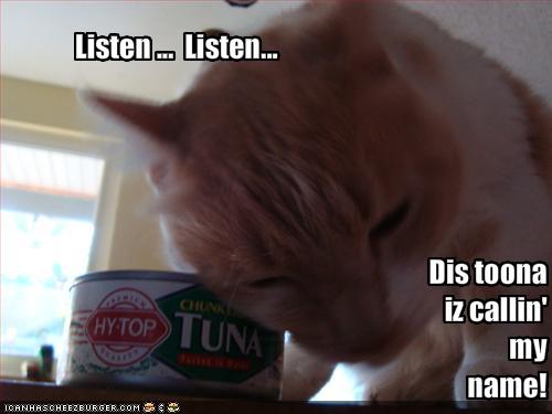 funny-pictures-cat-can-hear-canned-tuna-talk.jpg
