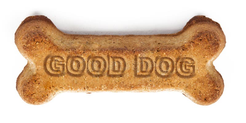 bone-shaped-dog-biscuit-good-dog-words-imprinted-good-dog-reward-biscuit-101315952.jpg