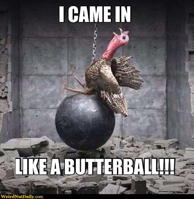I-Came-In-Like-A-Butterball-Funny-Thanksgiving-Meme.jpg