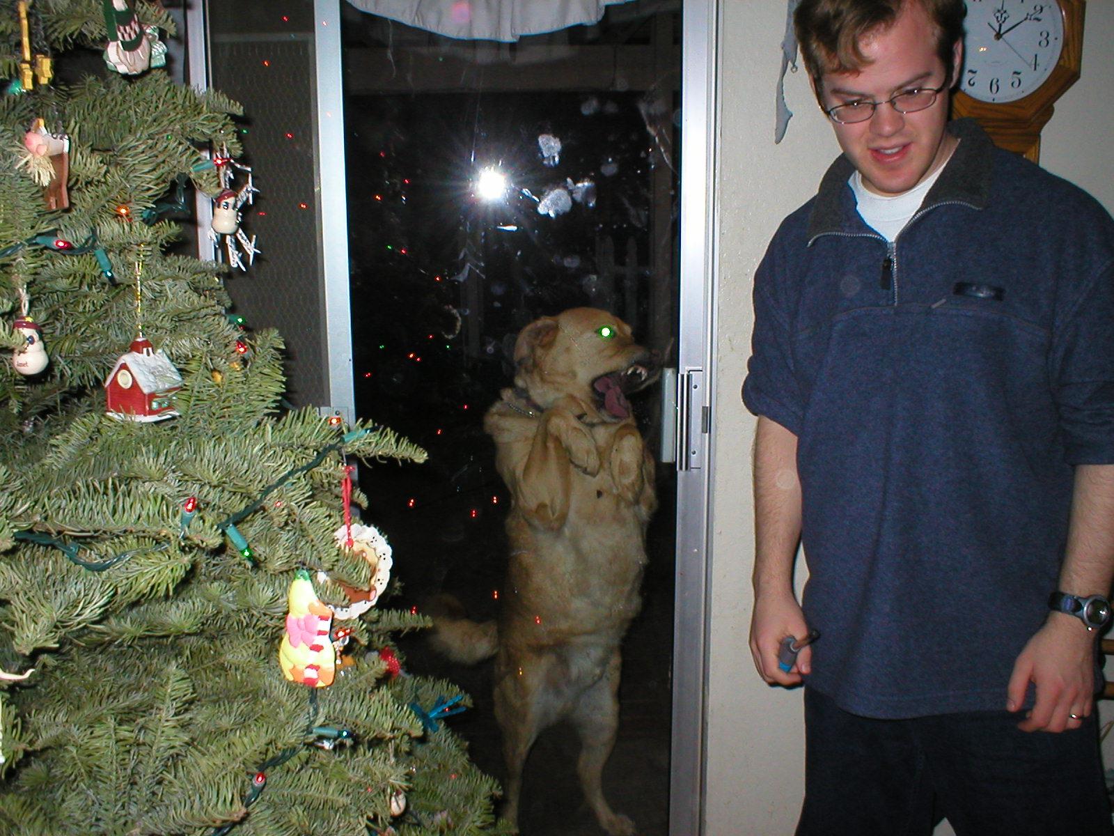the-ghost-of-christmas-past-dog-photobomb.jpg
