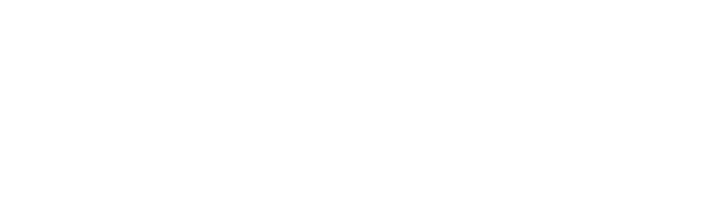 The Outsider: A Novel