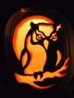Pumpkin Owl.jpeg