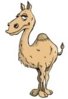 Smug Camel.jpg