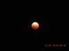 Red Moon2.jpg