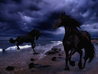 black_unicorns_by_cowgirlsara14-d3b7rtk.jpg