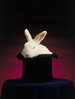 430144a-fbmagician-s-rabbit-in-hat-posters.jpg