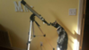 Cat telescope.png