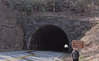 Tanbark tunnel_NEW.jpg