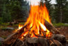 Caveman-Campfire.jpg