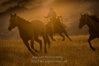 Wyoming Cowboy photo-1429.jpg