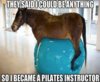 Funny-Horse.jpg