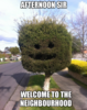 welcome tree sir.png