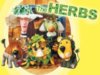The Herbs (UK).jpg
