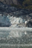 glacierbay-4680.jpg