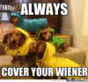 always-cover-your-wiener_o_1560269.jpg