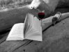 book-wine-bottle-bw-rs.jpg