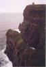 cliffs-of-moher.jpg