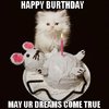 Happy Birthday Cat Cake.jpg