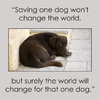 saving-dog.jpg