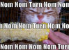corn kitty.jpg