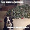 thank-goodness-youre-home-the-christmas-tree-fainted-quote-1.jpg