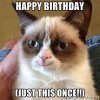 grumpy cat birthday.jpg