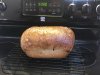 Oatmeal Raisin Bread.jpg