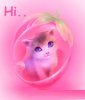 Kitty-Saying-Hi-Image..jpg