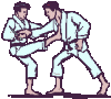 animated-karate-image-0053[1].gif