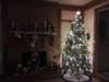 christmas tree 2018.jpg