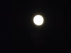 moon 6-12-14 020.jpg