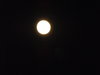 moon 6-12-14 024.jpg