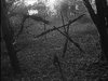 The-Blair-Witch-Project-1.jpg