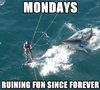 Monday shark Joke.jpg