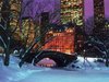 christmas-snow-park-new-york.jpg
