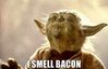 96920-Yoda-I-smell-bacon-meme-funny-1egQ.jpg