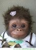 cute-monkey-with-pink-bow-pictures-pics-image-funny-animal-pictures.jpg