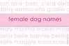dog-names-female-602x399.jpg