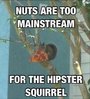 hipster squirrel.jpg