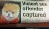 violent sex offender.jpg