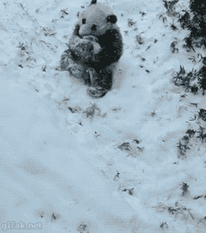 I60yGYs.gif