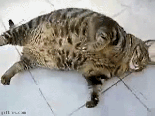dCqwzyK.gif