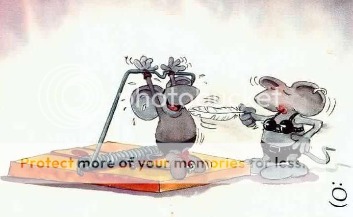 kinky-mice-in-mouse-trap-funny-cartoon-silly-rodents.jpg