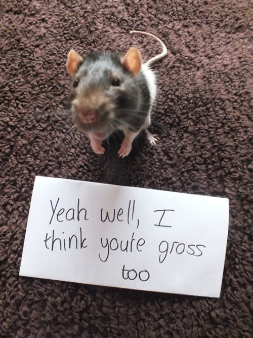 tumblr_olbllydO0u1rir0h2o1_500.jpg