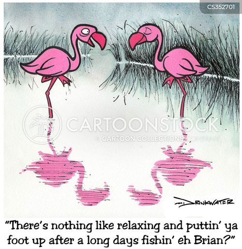 animals-pink_flamingos-flamingos-fishes-fishing-relax-mdrn11_low.jpg