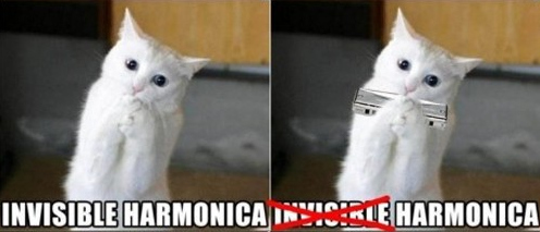 Invisible-Cat-04.jpg