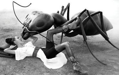 GiantAnt.jpg